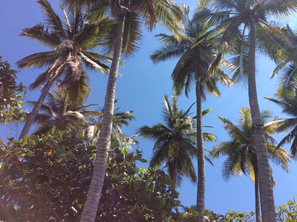 Donde Mira El Sol, Promo Primavera Hasta 50 Por Ciento (Adults Only) Acapulco Kültér fotó